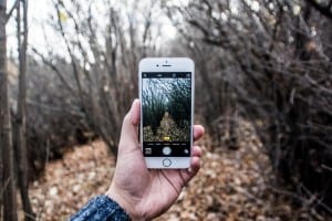 wildlife apps: enrich your wildlife experience