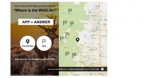 How many times have you been asked? Where is the the wildlife? App=answer. you are here. Elk are represented by flags. Note: - turn by turn navigation to the wildlife. www.whereisthewildlife.com info@whereisthewildlife.com970-663-1200