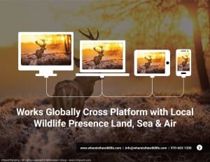 Works globally cross platform with local wildlife presence land sea & air. www.whereisthewildlife.com info@whereisthewildlife.com970-663-1200