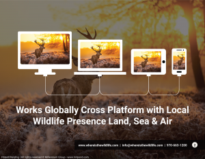 Works globally cross platform with local wildlife presence land, sea & air. www.whereisthewildlife.com info@whereisthewildlife.com970-663-1200