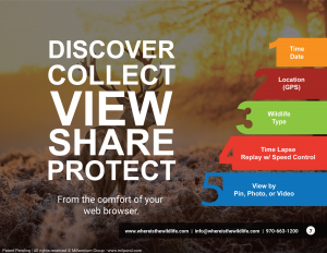 Discover collect view share protect. From the comfort of your web browser. 1 time date. 2 location (GPS). 3 Wildlife Type. 4. Time Lapse replay with speed control. 5 view by pin, photo, video. www.whereisthewildlife.com info@whereisthewildlife.com970-663-1200