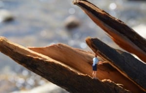 A tiny figure standing at edge of a log