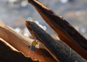 A tiny figure standing in a log