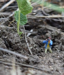 a tiny figure with a camera below a plant