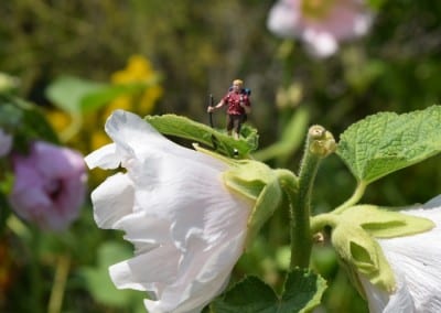 a tiny figure on a flower