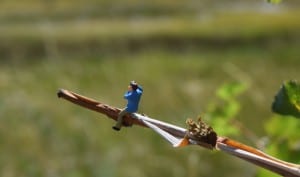 a tiny figure sitting on a stick