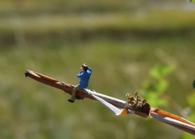 a tiny figure sitting on a stick