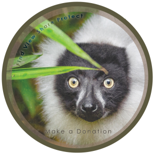 Make a donation. Find view share protect. Lemur background